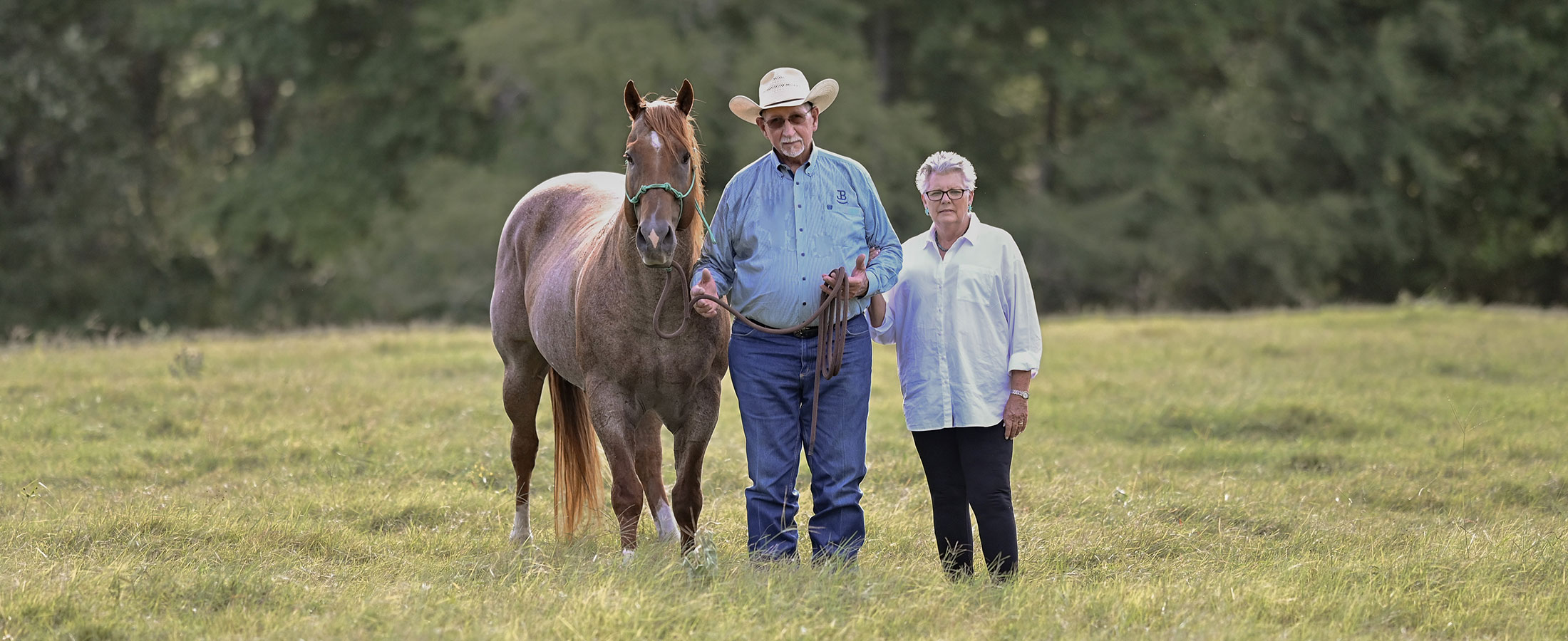 An older couple and a horse standing in an open grassy field.
